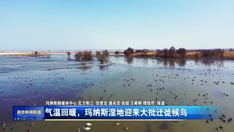 玛纳斯湿地：气温回暖，迎来大批迁徙候鸟